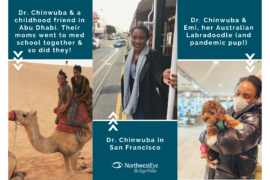 collage of doctor Chinwuba