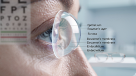 understanding-cornea-damage-causes-symptoms-and-treatments