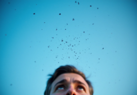 understanding-floaters-in-vision-causes-symptoms-and-when-to-seek-help
