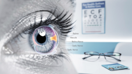 understanding-the-causes-of-retinal-detachment-and-its-impact
