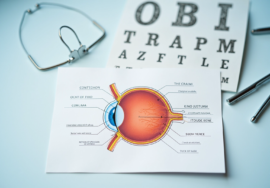 understanding-the-parts-of-the-eye-diagram-and-their-functions
