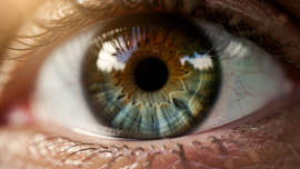 what-is-the-colored-part-of-the-eye-understanding-the-iris